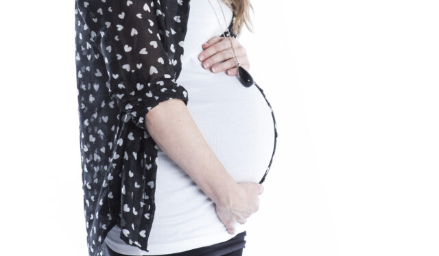 fabels tweeling zwanger