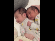 Zo schattig: knuffelende tweeling van 19 dagen oud knuffelende tweeling