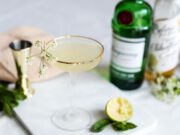 Dit wil je maken: een speciale cocktail voor tweelingmoeders! cocktail tweelingmoeders
