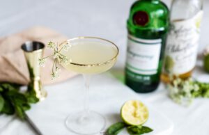 Dit wil je maken: een speciale cocktail voor tweelingmoeders! cocktail tweelingmoeders