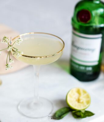 Dit wil je maken: een speciale cocktail voor tweelingmoeders! cocktail tweelingmoeders