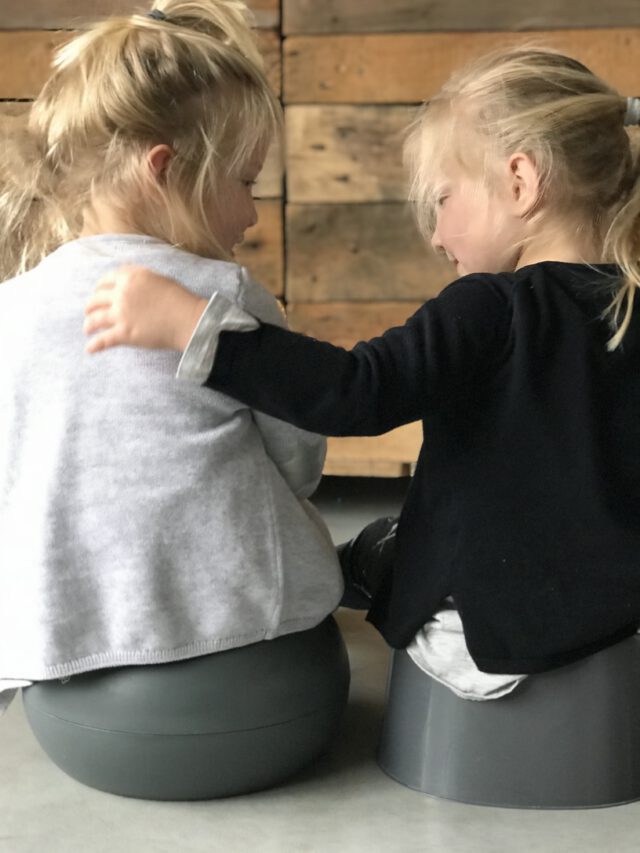 tweeling zindelijk