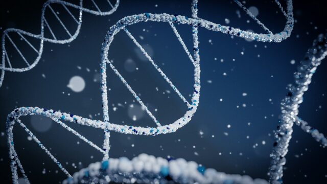 Wetenschappers zoeken honderd tweelingen voor uniek DNA-onderzoek wetenschappers DNA-onderzoek